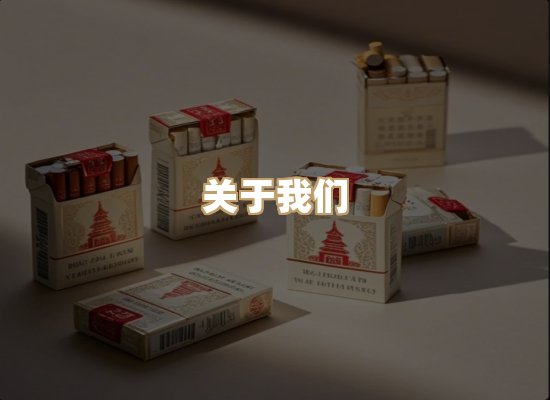 关于蓝帝网